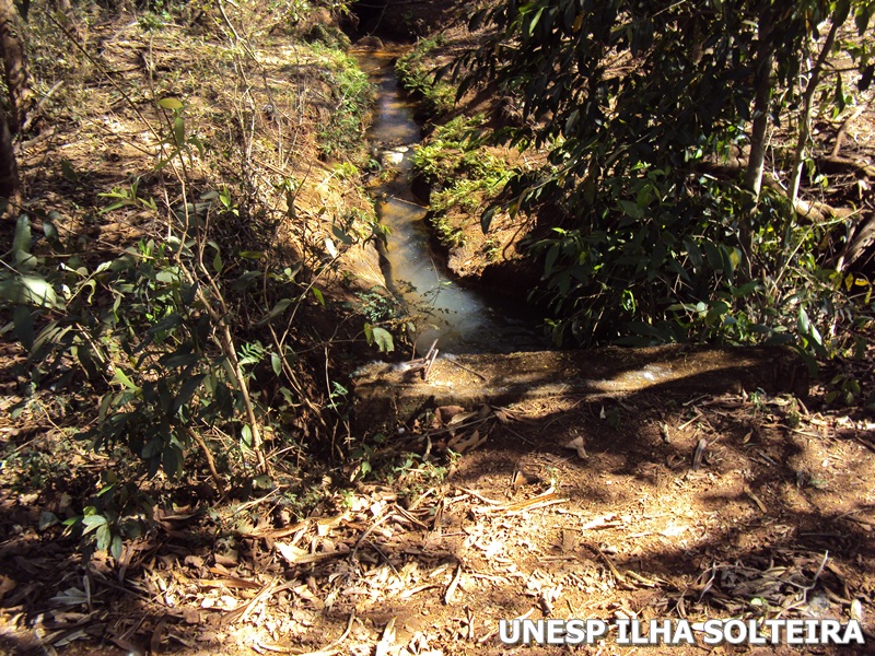 aula_cint_verde_20_agosto_2012 (27).JPG